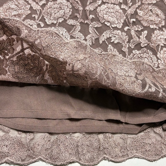 Sundance Angelica Dress Size PM Petite Medium Embroidered Overlay Lined Taupe - Picture 5 of 11